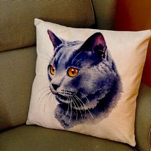 16 X 16 pillow cover new